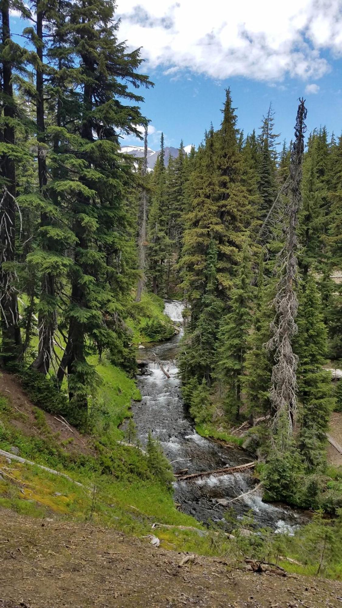 Mt. Bachelor & Sun River Get Away Bend Eksteriør bilde